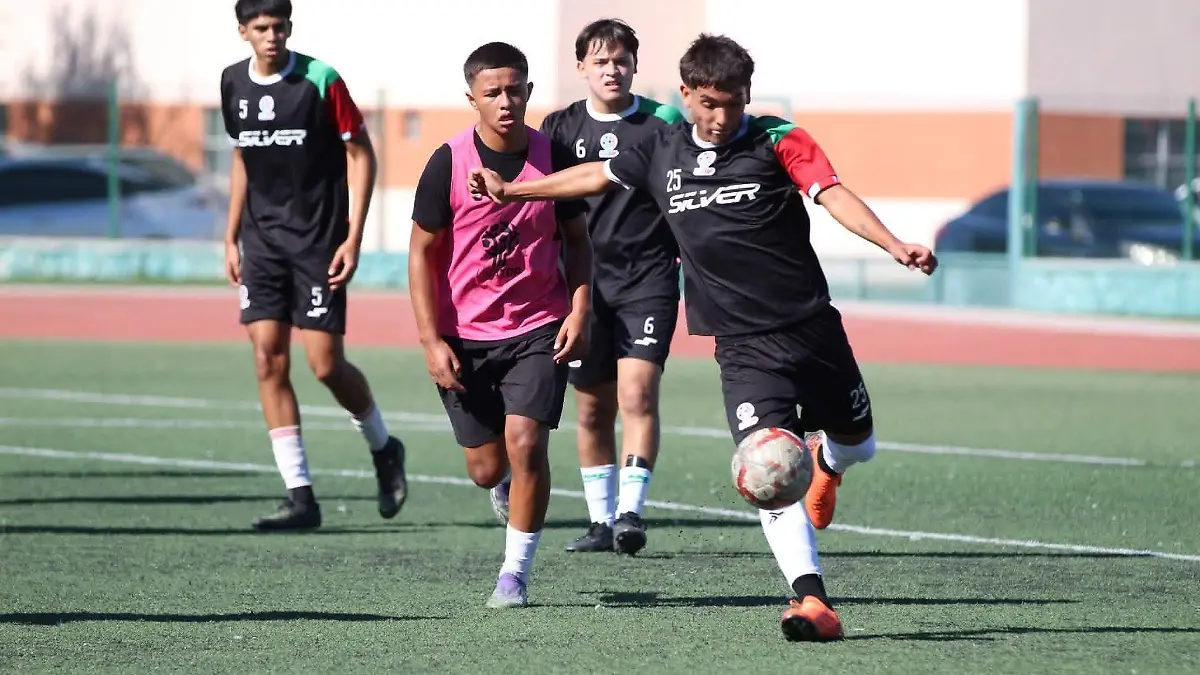 WhatsApp Image 2026-04-12 at 11.53.40