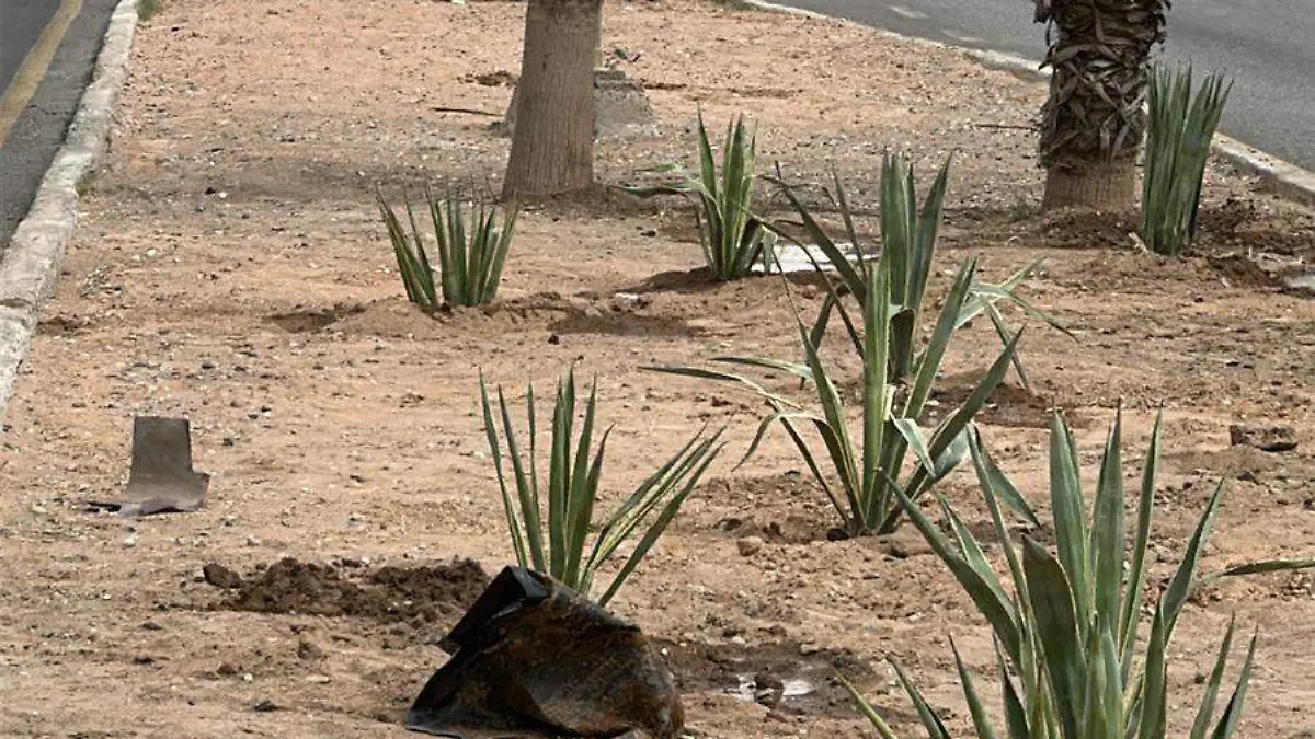 672692809_1496917068762739_7514416674059585519_n