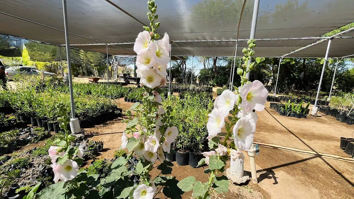 WhatsApp Image 2026-04-14 at 5.48.04 PM