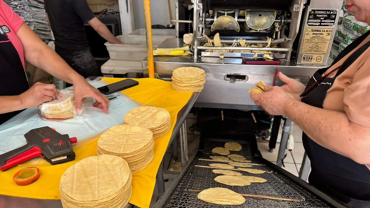 incremento en el precio de la tortilla Vf (4)