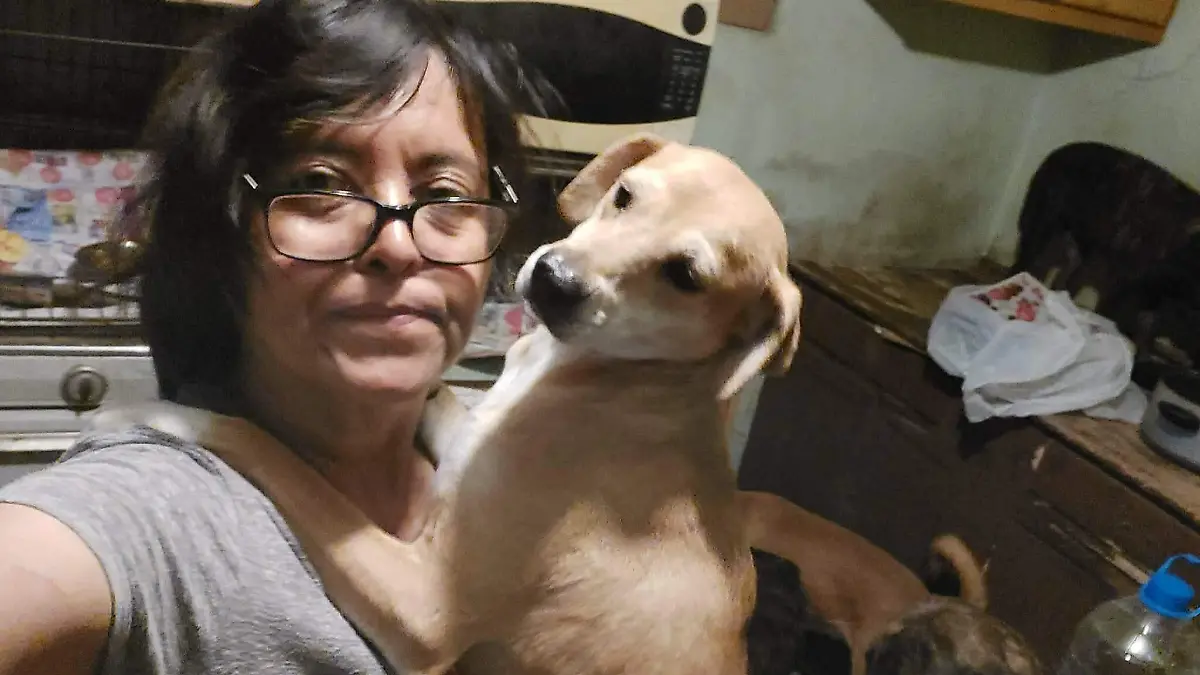 Harán bazar con causa  (4)