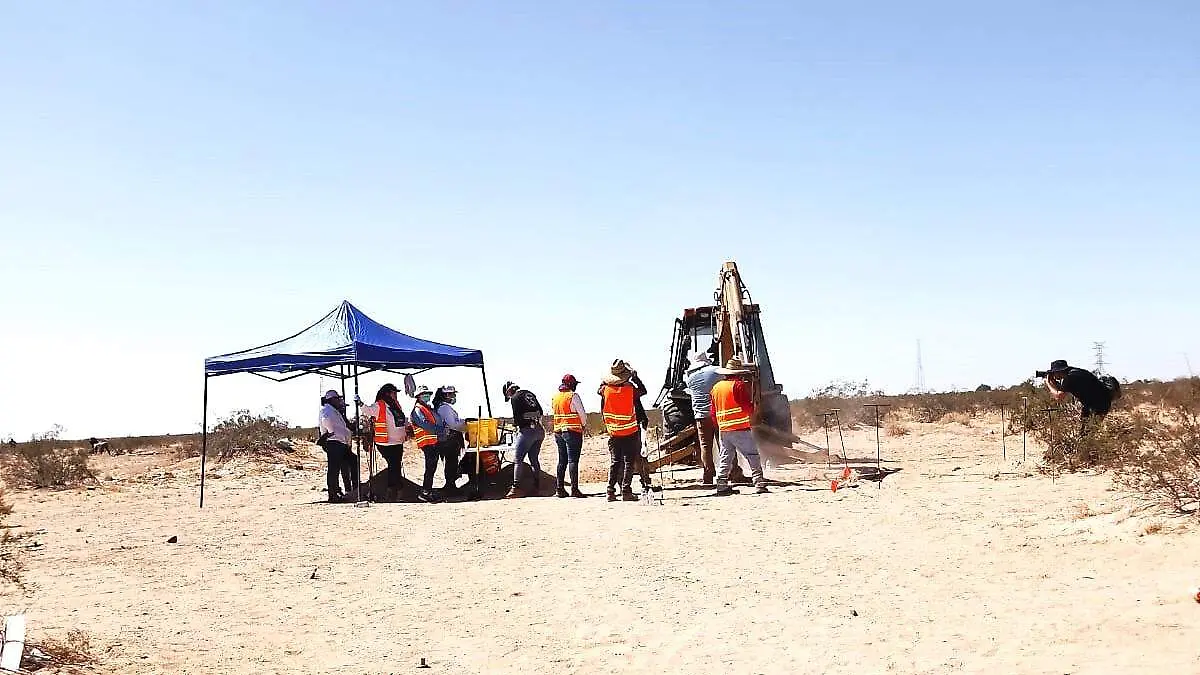 Necesita apoyo colectivo de búsqueda