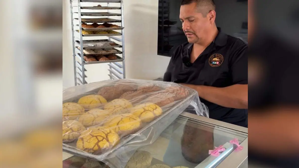 WhatsApp Image 2026-04-17 at 3.33.47 PM (2)