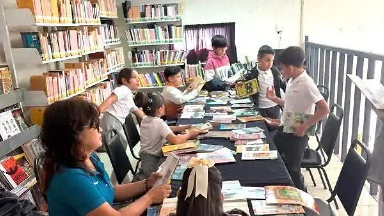 Ponen a disposición bibliotecas publicas  (2)