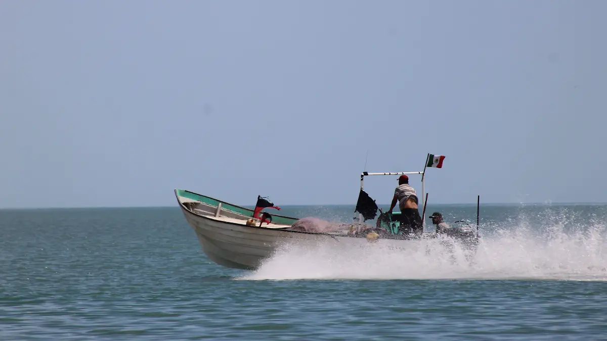 Buena temporad de pesca de sierra en el Golfo (2)