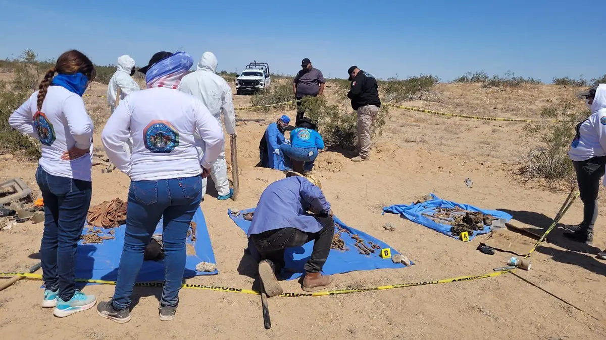 No identifican restos humanos