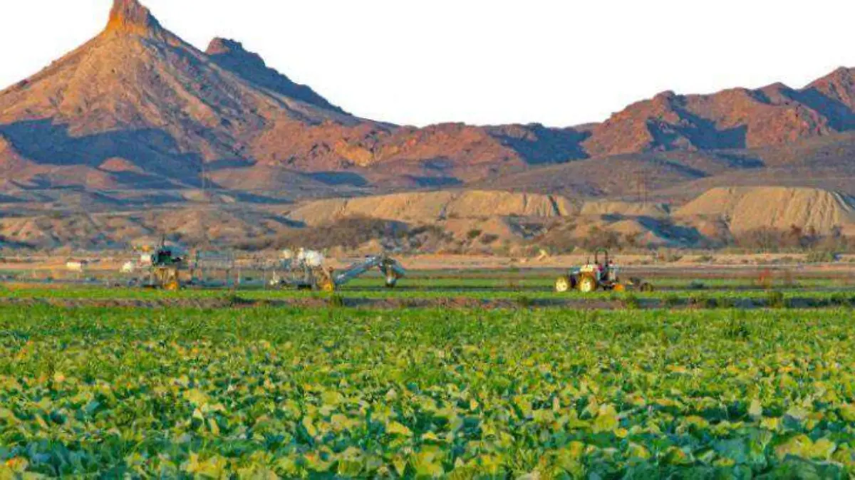 WhatsApp Image 2026-04-23 at 11.05.06 AM (2)