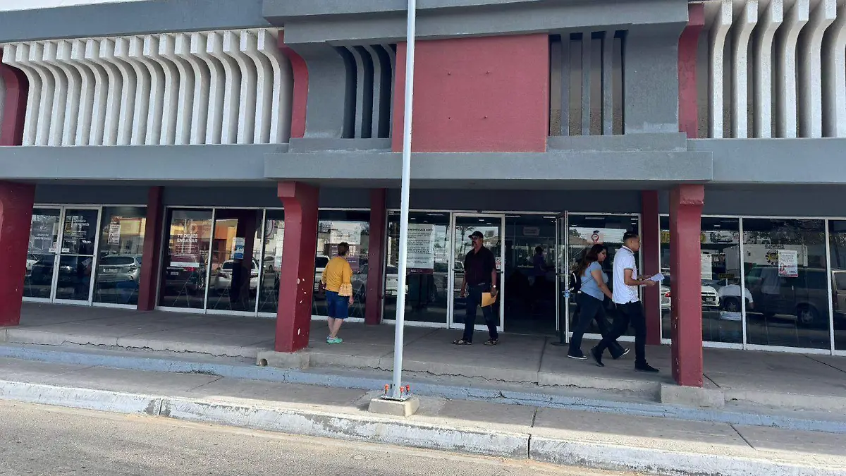 Se han esntragado bastantes licencias Vf  (1)