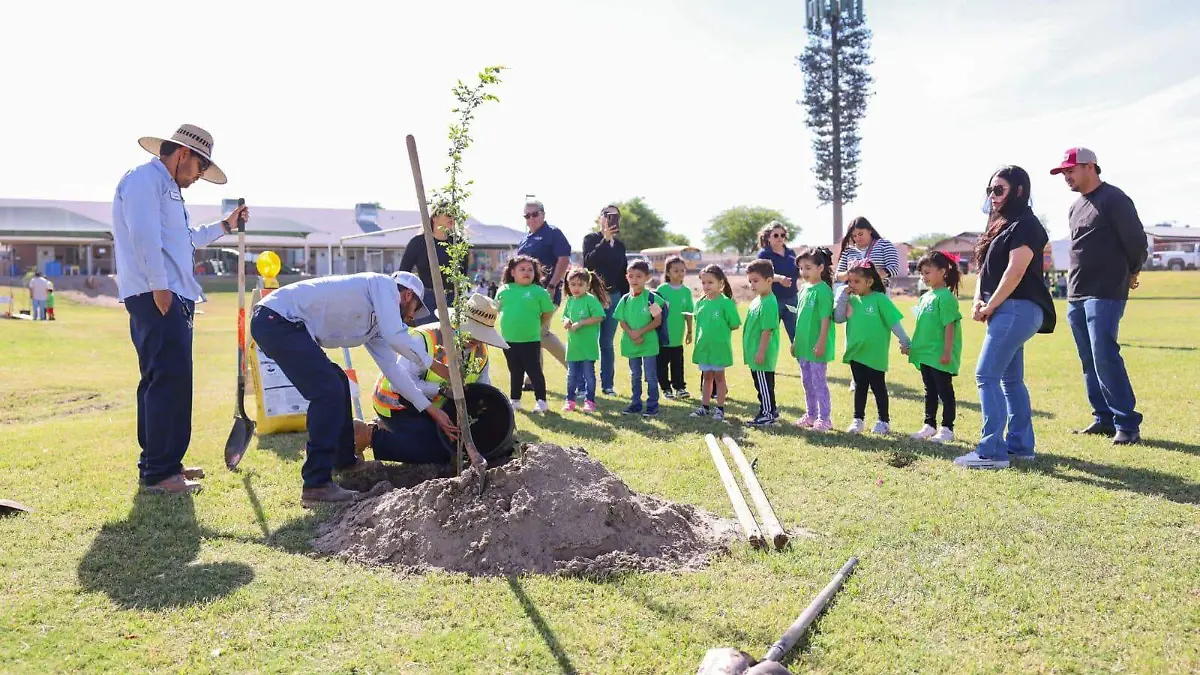 Celebran día del árbol en SL Az, plantan árboles para crear conciencia de cuidarlos y mejorar el medio ambiente (2)