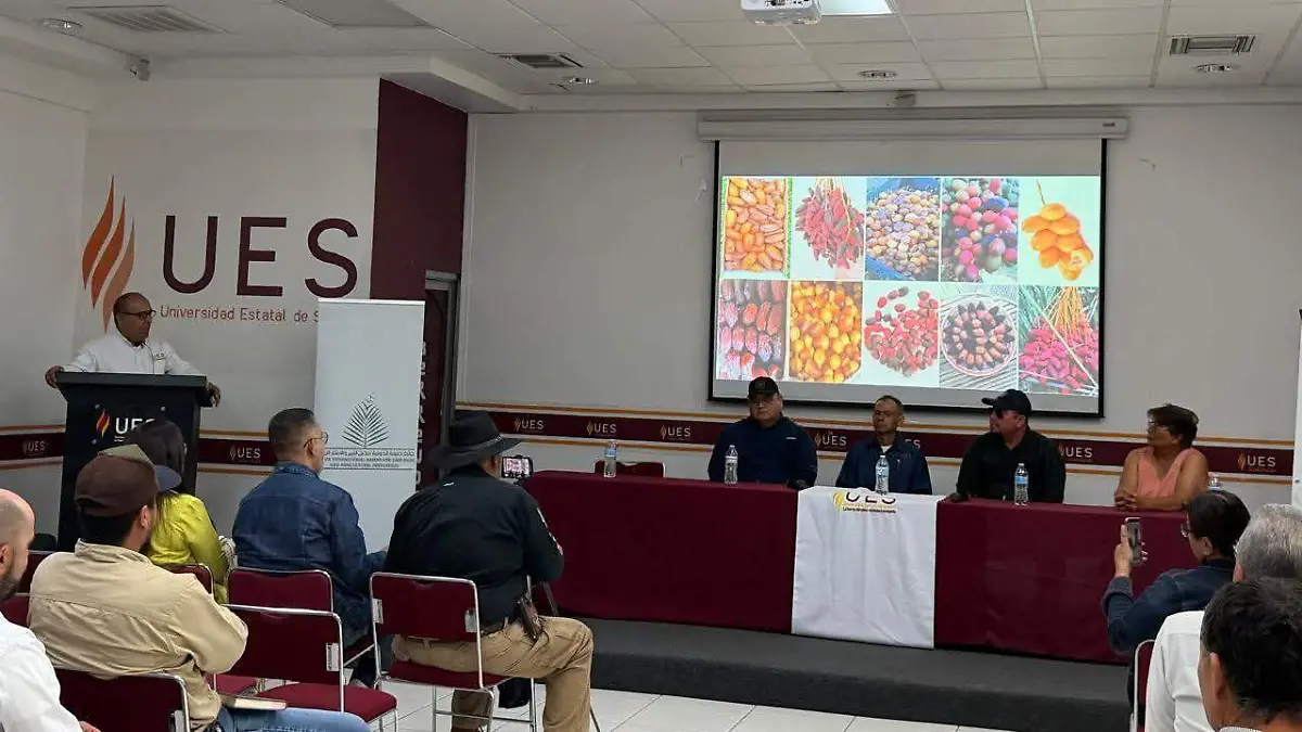 Productores de dátil son quienes aconsejan  (1)