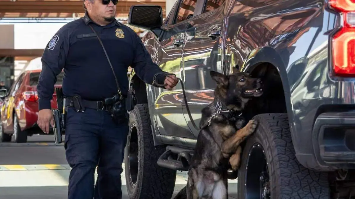 675445184_1566022668862862_7572476433585837894_n