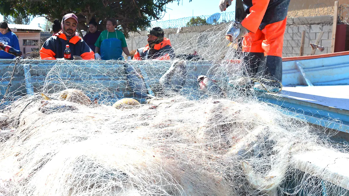 Programa de bienpesca VF (2)