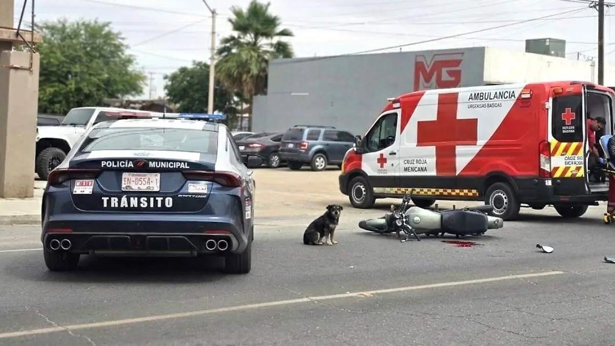 Motociclista lesionado al evitar arrollar a un can