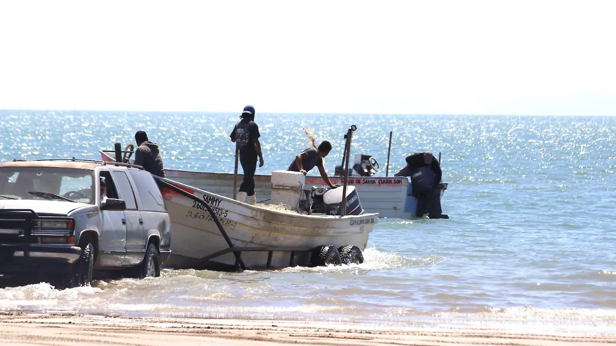 La temporada de curvina finalizó VF (1)