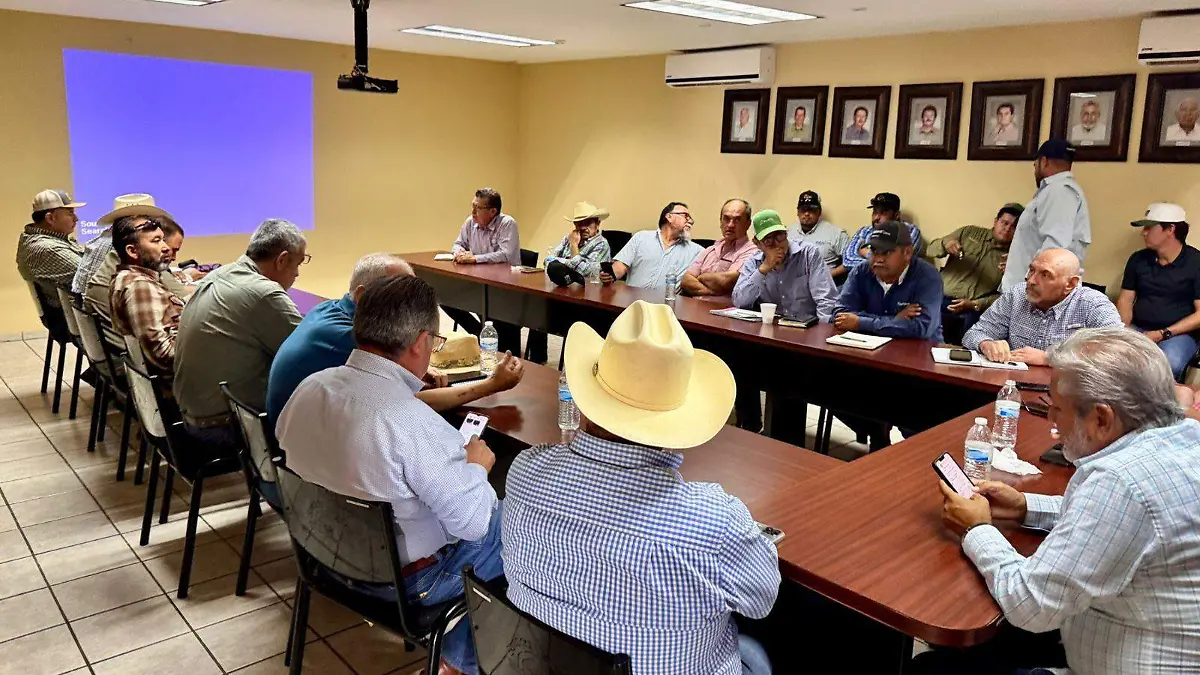 Preocupa a agricultores mosquita blanca VF (2)