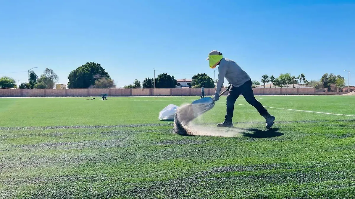 Continúan los trabajos de rehabilitación del campo de fútbol en el Cobach (1)