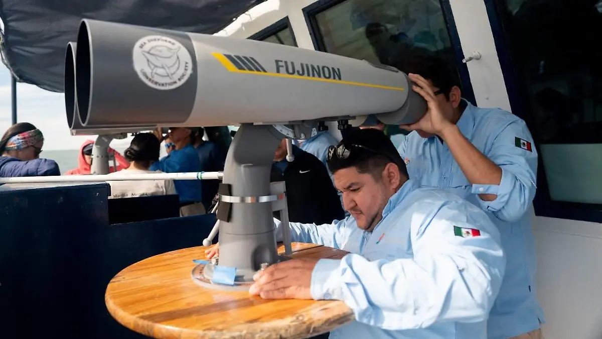Campaña para observadores de vaquita marina (4)
