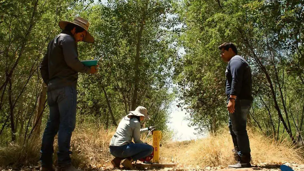 Restauración del delta del río Colorado (2)