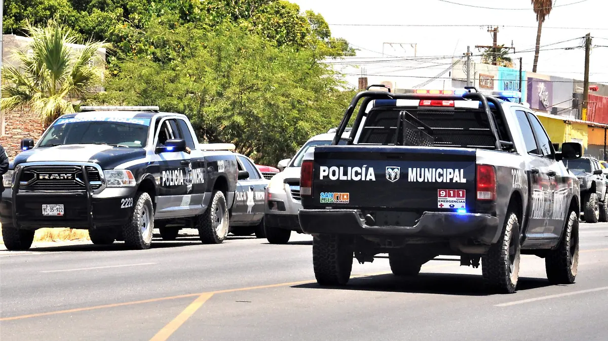 Tras las rejas ´presunto robacarros