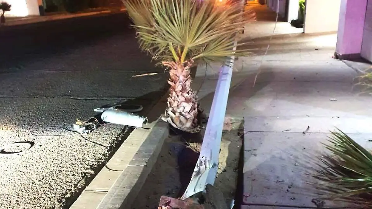 Veloz auto derribo palmera y arbotante