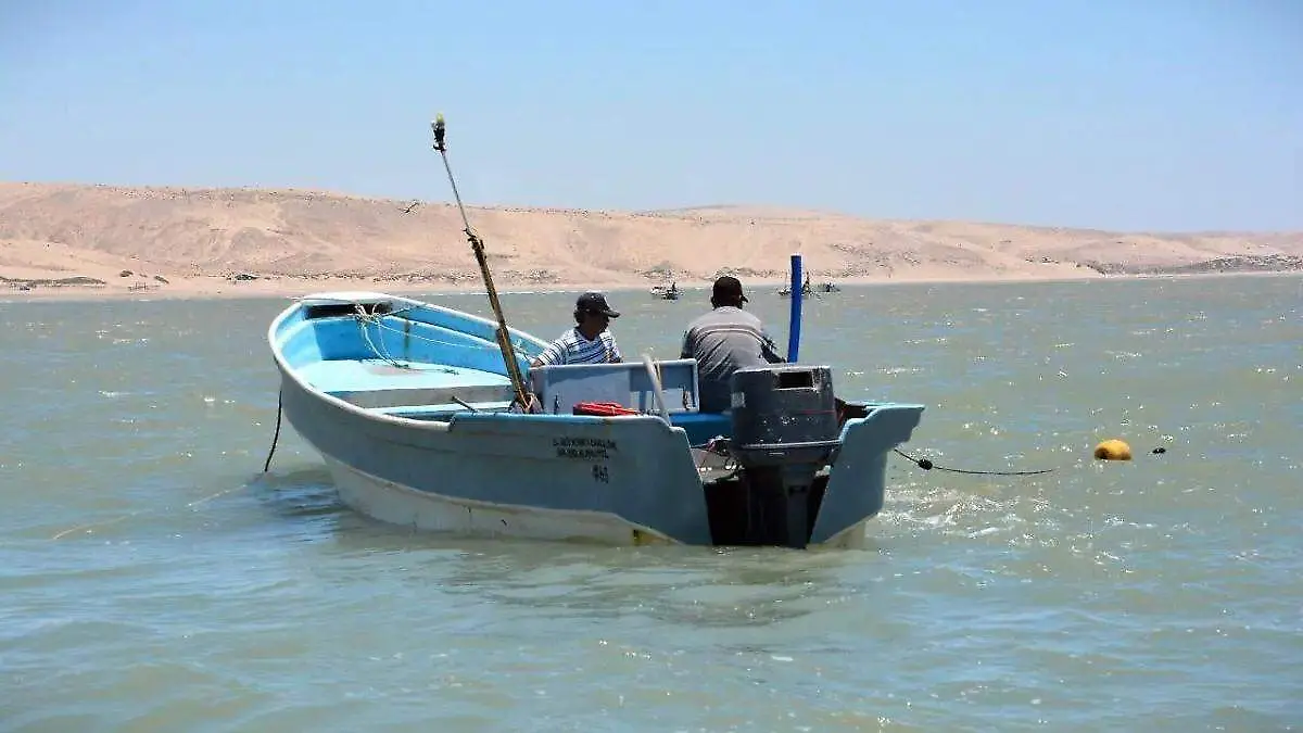 pesca mage
