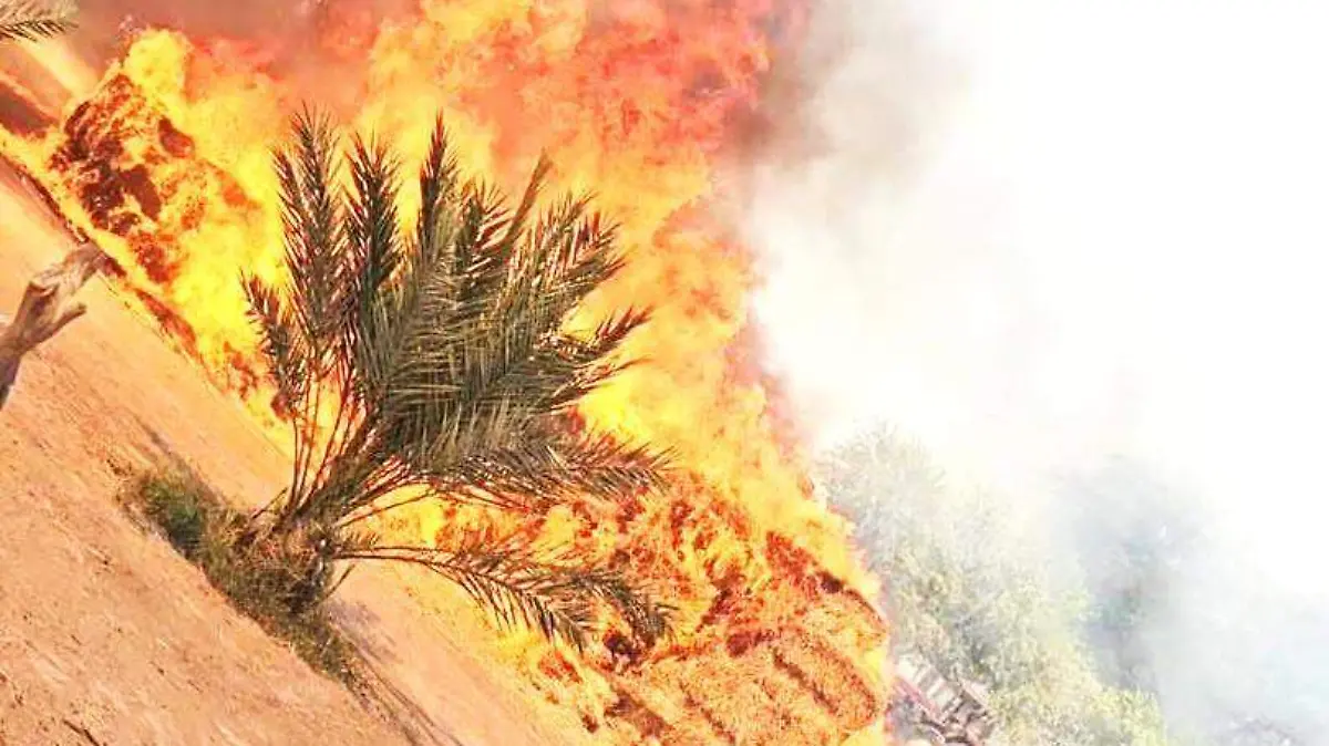 Controlan bomberos fuerte incendio y salvan casas