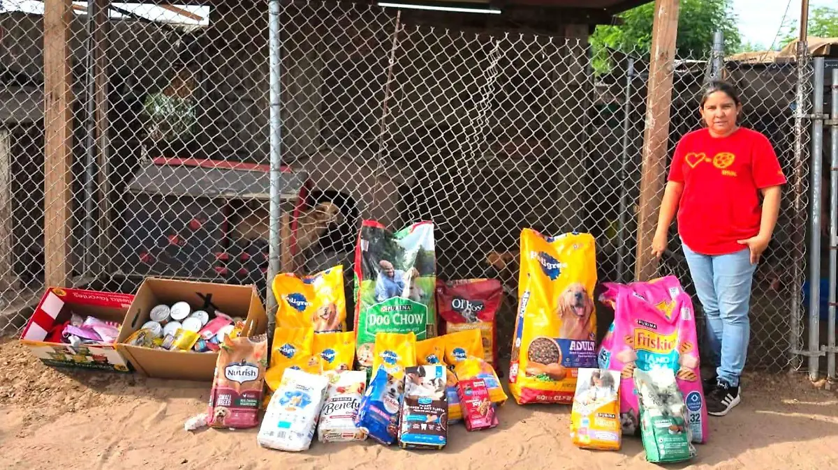 La rescatista de animales Mary Dwyer hacer un llamado a la comunidad para que la apoyen  (3)