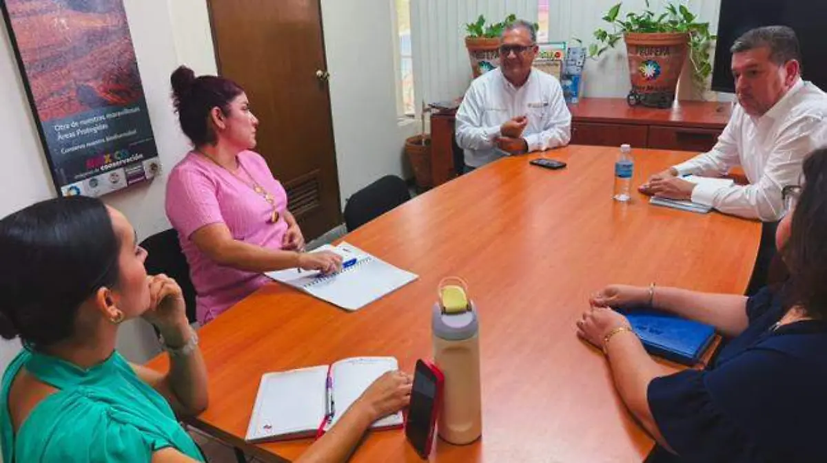 post_Reun_coordinacion_CFE_Son_02