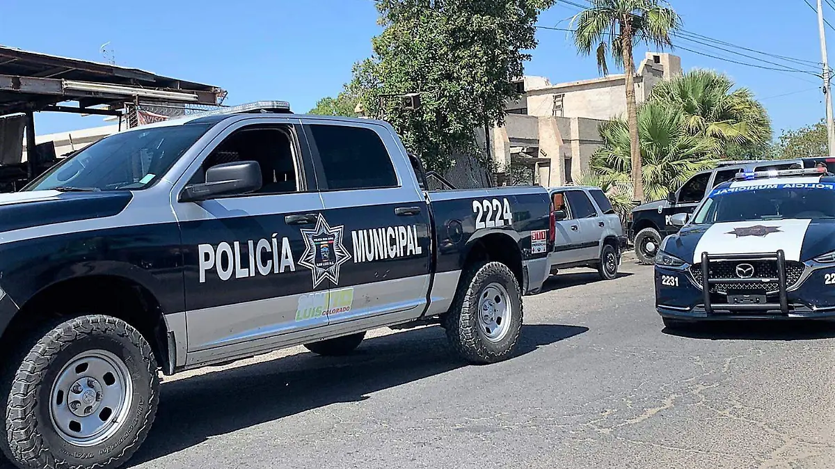 Capturan presunto ladrón armado