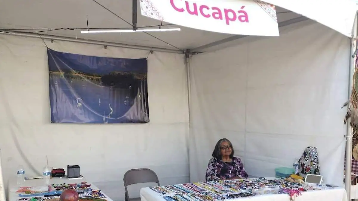 Exponen cultura de Sonora en Festival de pueblos Indienas  (4)