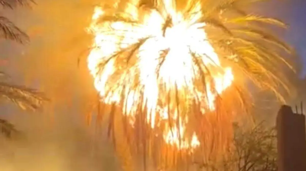 Voraz incendio en el valle, daña palmeras