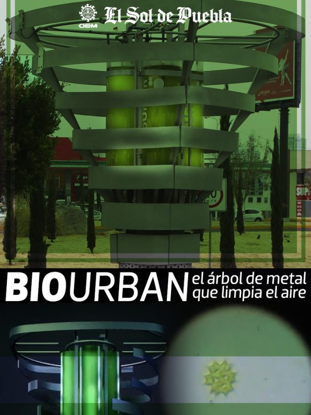 Bio Urban